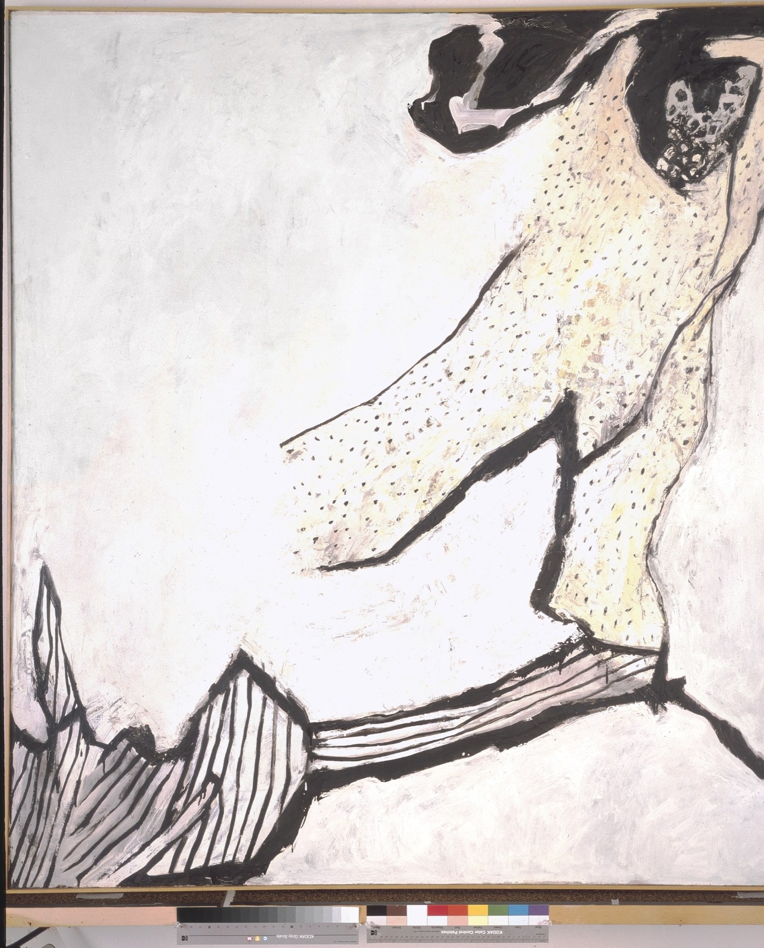 FL.1954.PTG.002