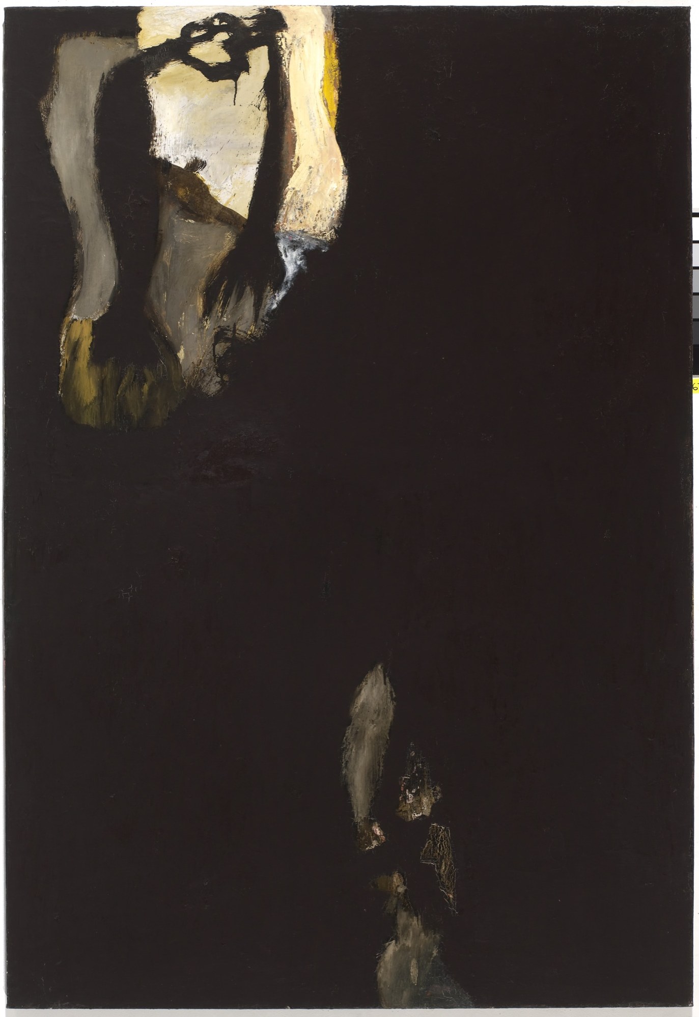 FL.1955.PTG.004